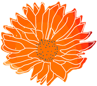LBC 3.1 Logo